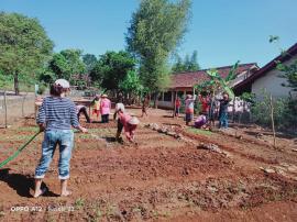 Peran penting KWT dalam mewujudkan ketahanan pangan